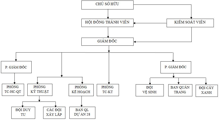 so_do_to_chuc_2019